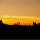 sonnenuntergang an der elbe