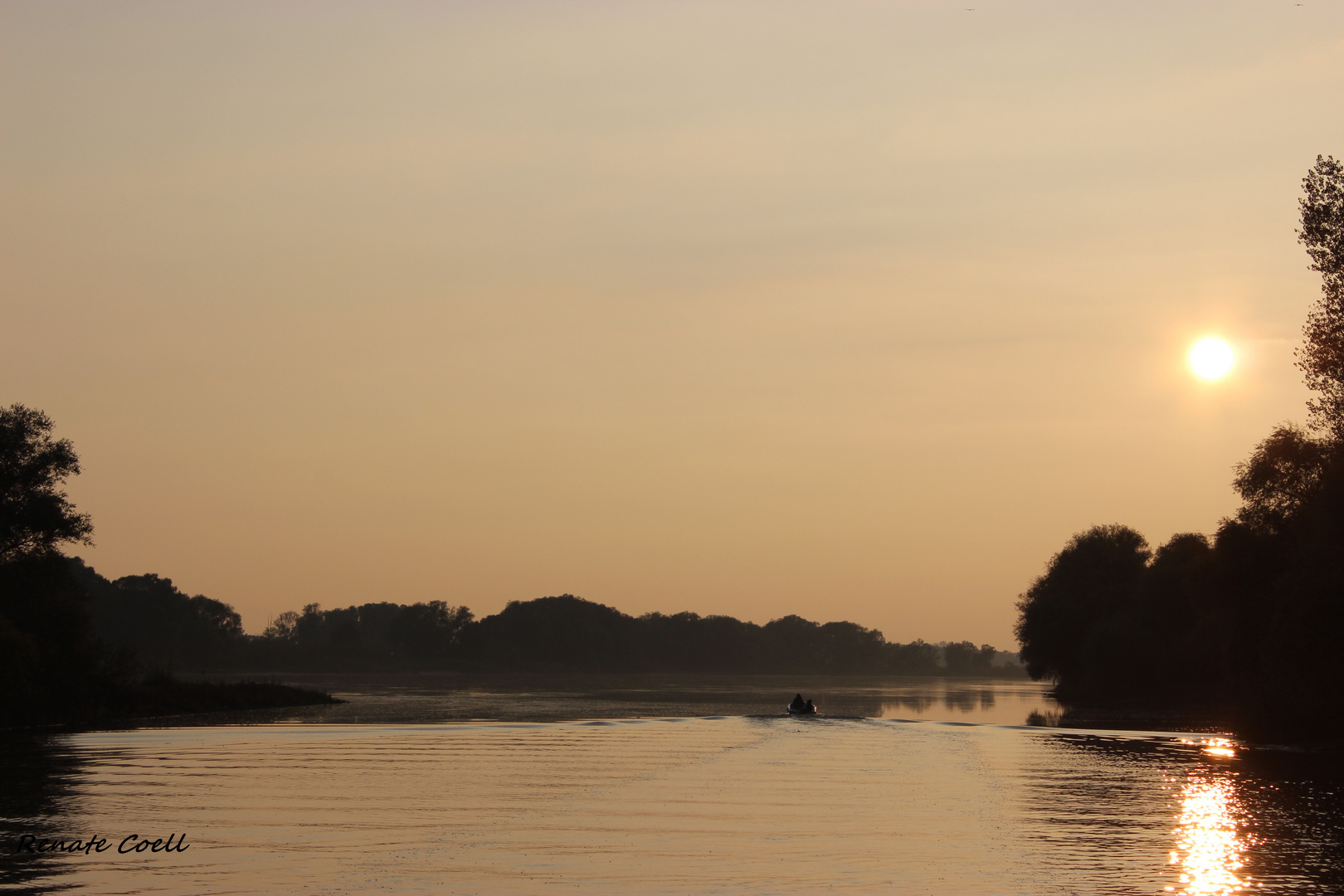 Sonnenuntergang an der Elbe