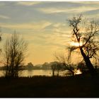 Sonnenuntergang an der Elbe bei Gnevsdorf (Prignitz)