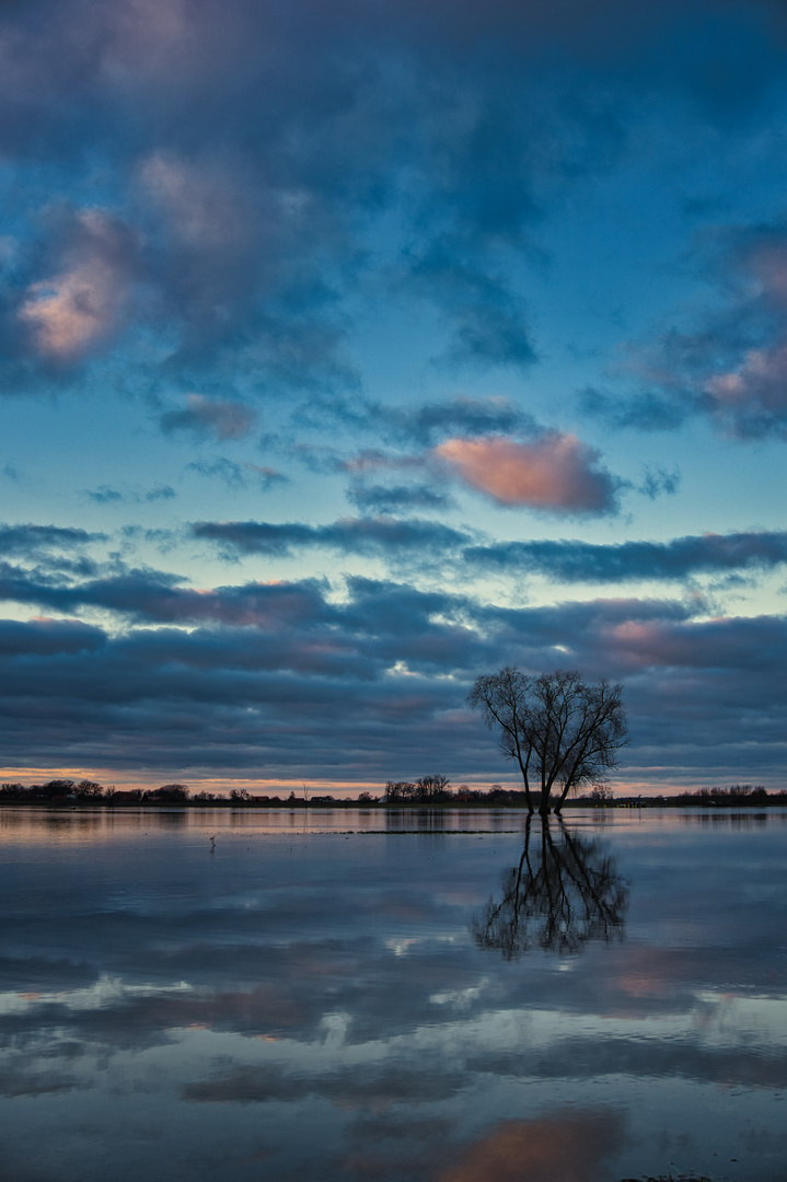 Sonnenuntergang an der Elbe bei Hochwasser.