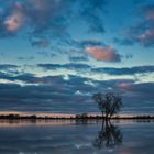 Sonnenuntergang an der Elbe bei Hochwasser.