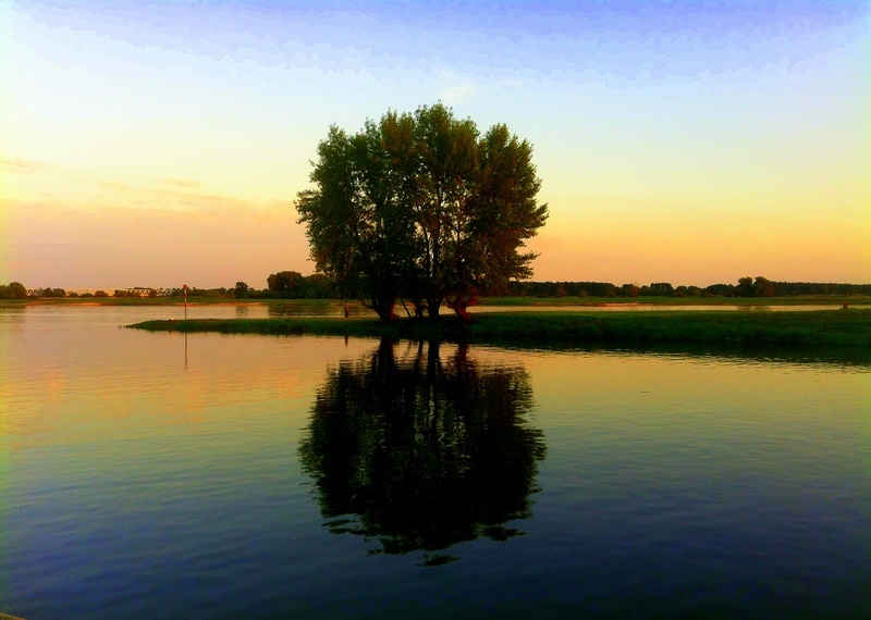 Sonnenuntergang an der Elbe