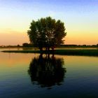 Sonnenuntergang an der Elbe