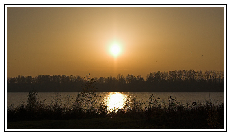 Sonnenuntergang an der Elbe