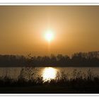 Sonnenuntergang an der Elbe