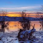 Sonnenuntergang an der Elbe