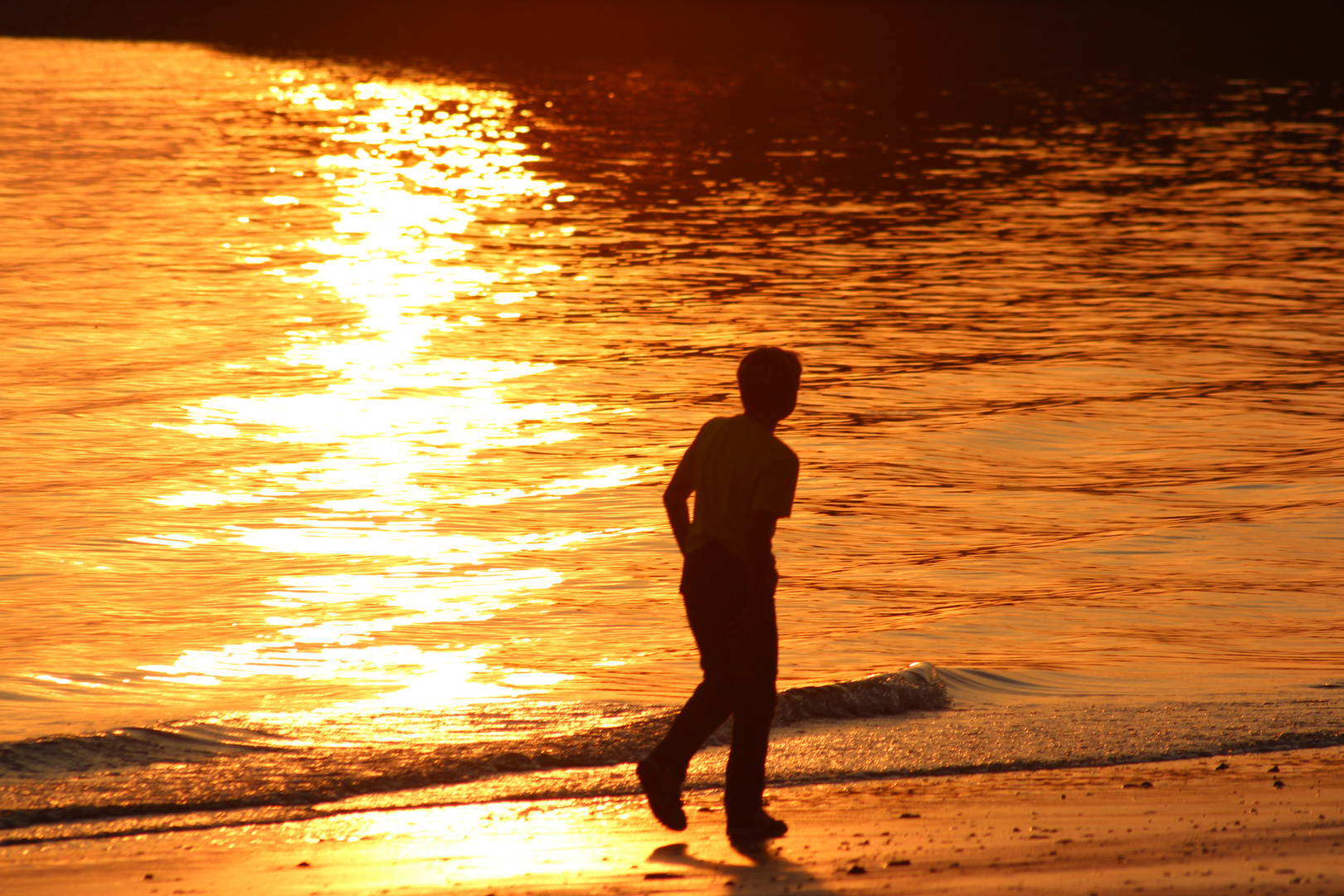 Sonnenuntergang an der Elbe