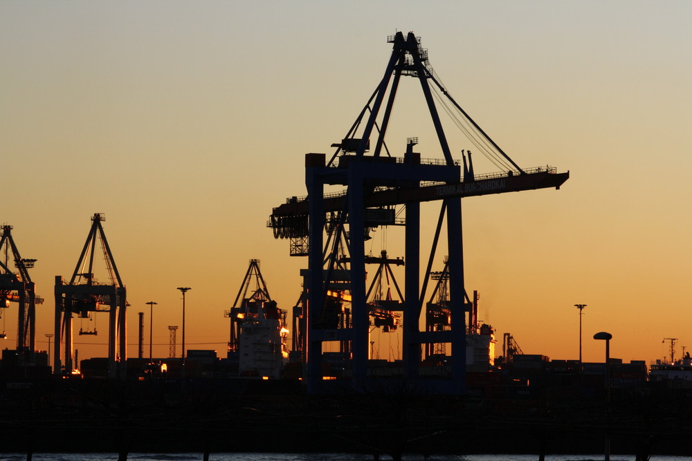 sonnenuntergang an der elbe