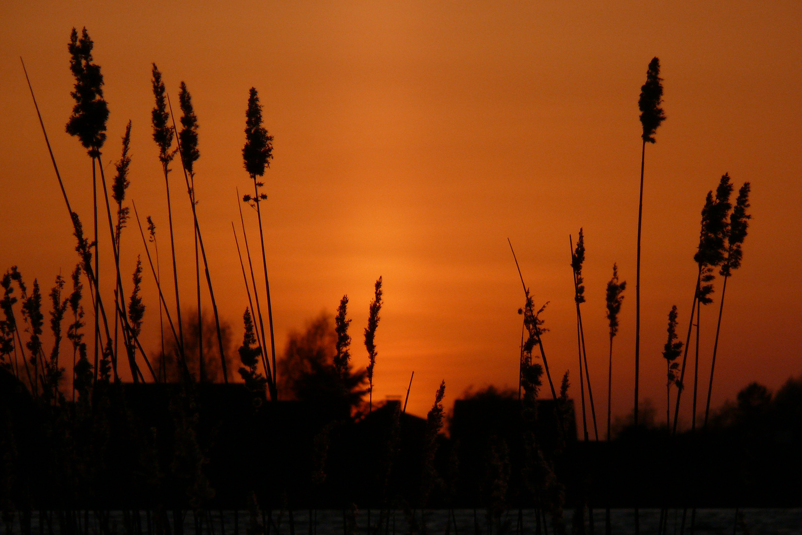 Sonnenuntergang an der Elbe