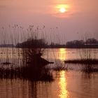 Sonnenuntergang an der Elbe