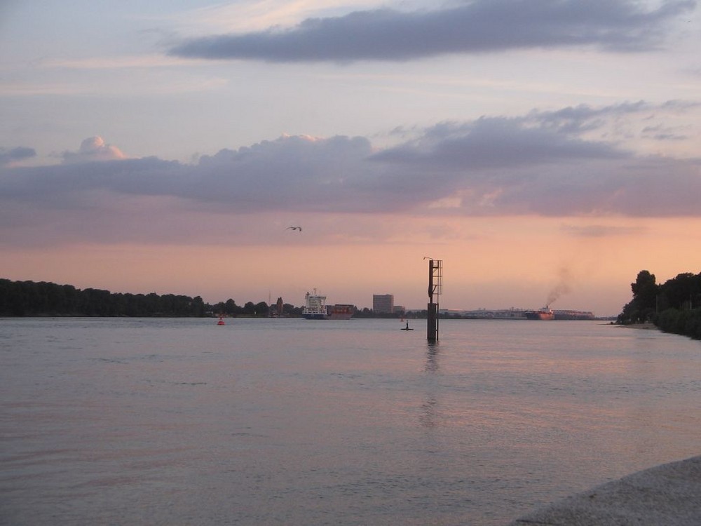 Sonnenuntergang an der Elbe