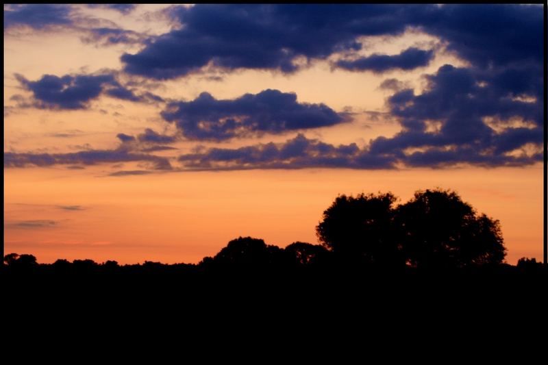 Sonnenuntergang an der Elbe