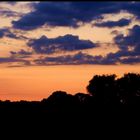 Sonnenuntergang an der Elbe