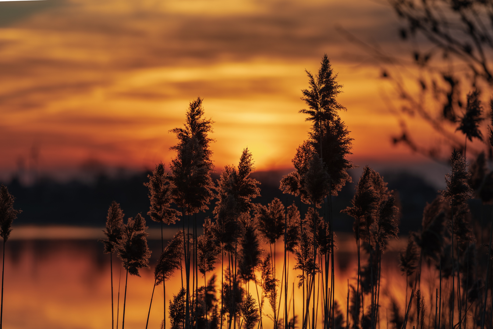 Sonnenuntergang an der Elbe