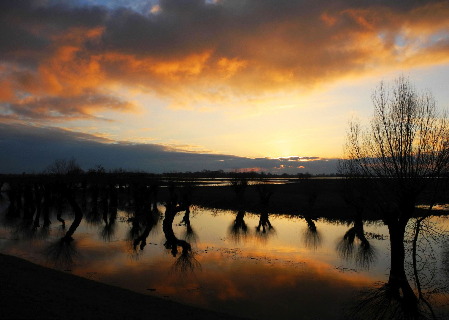 Sonnenuntergang an der Elbe