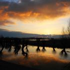 Sonnenuntergang an der Elbe