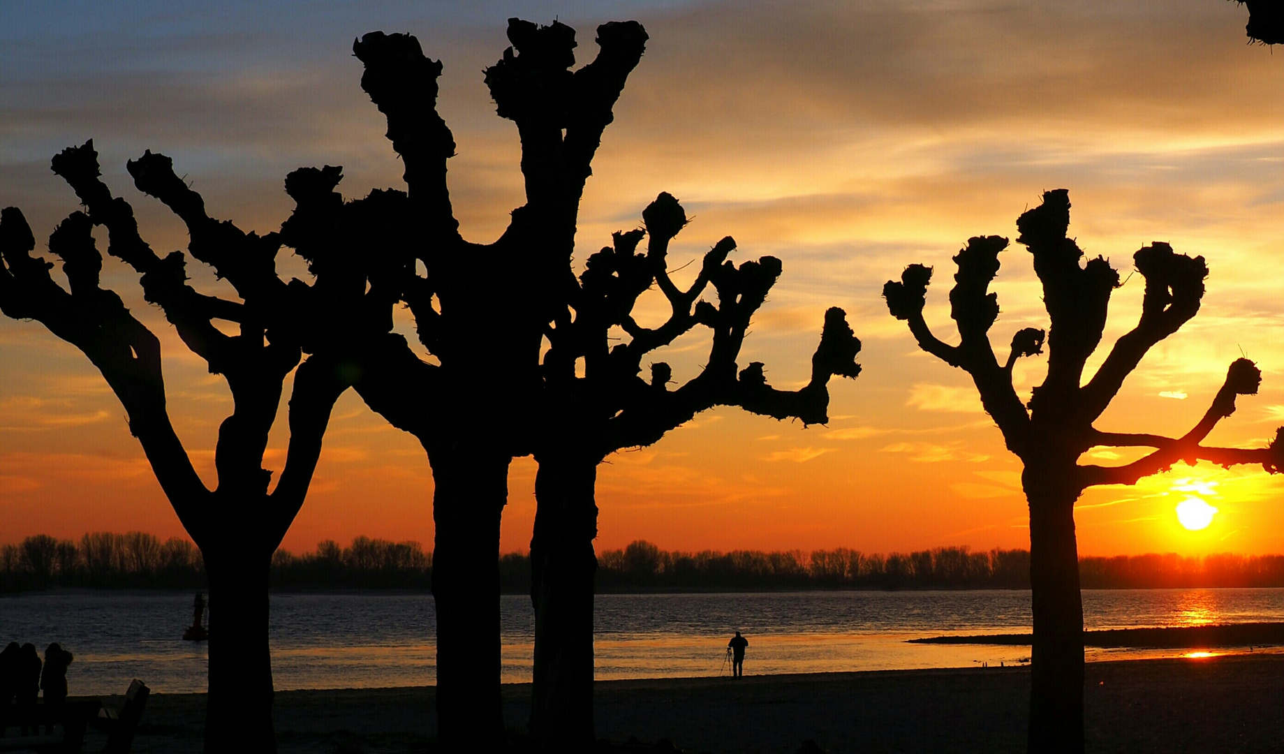 Sonnenuntergang an der Elbe