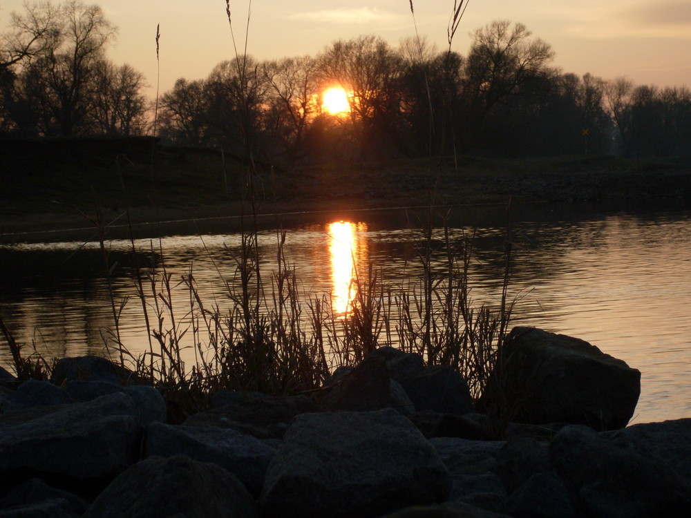 Sonnenuntergang an der Elbe