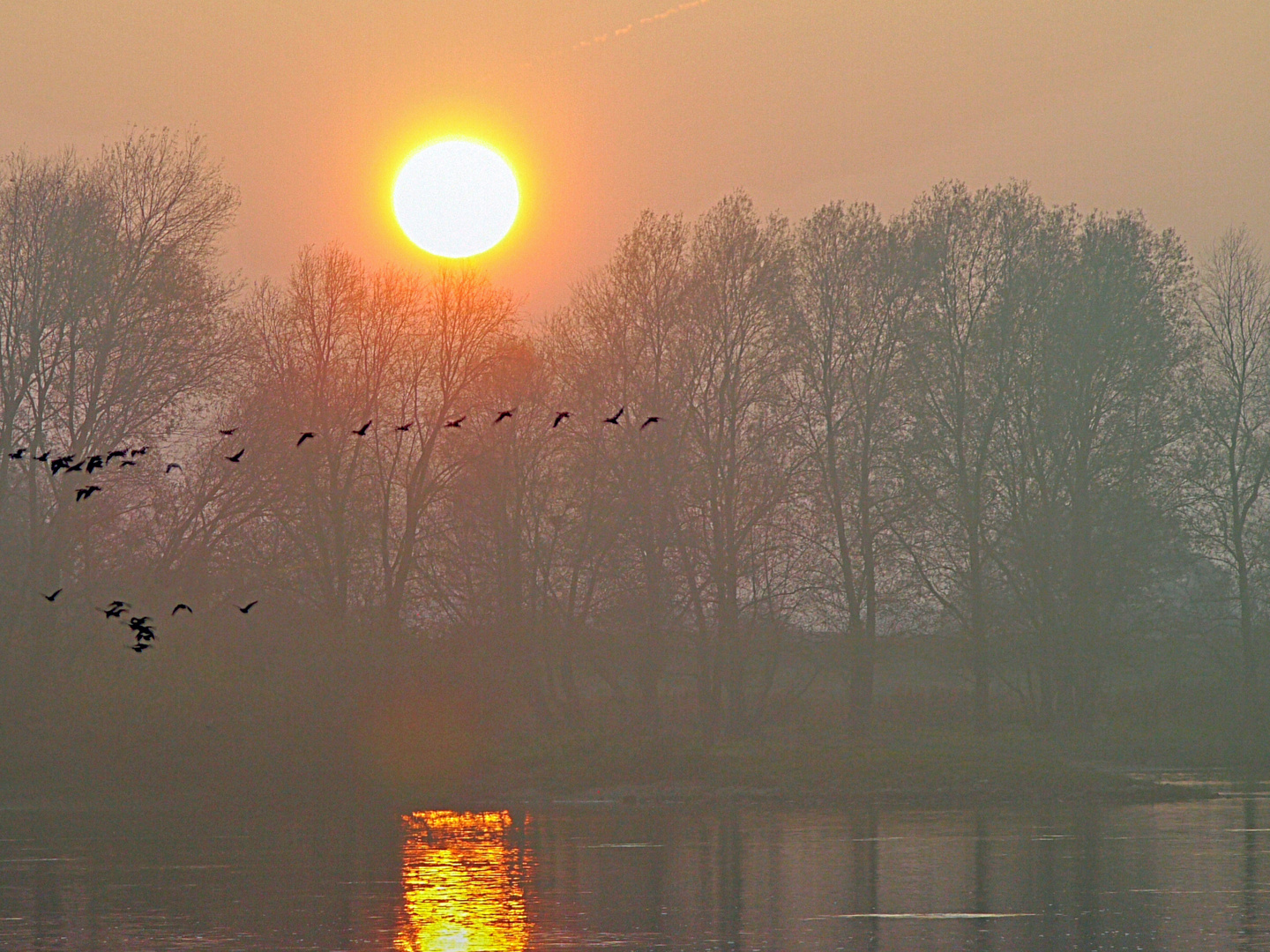 Sonnenuntergang an der ELBE