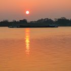 Sonnenuntergang an der Elbe Hamburg Ochsenwerder (4) (1 von 1)