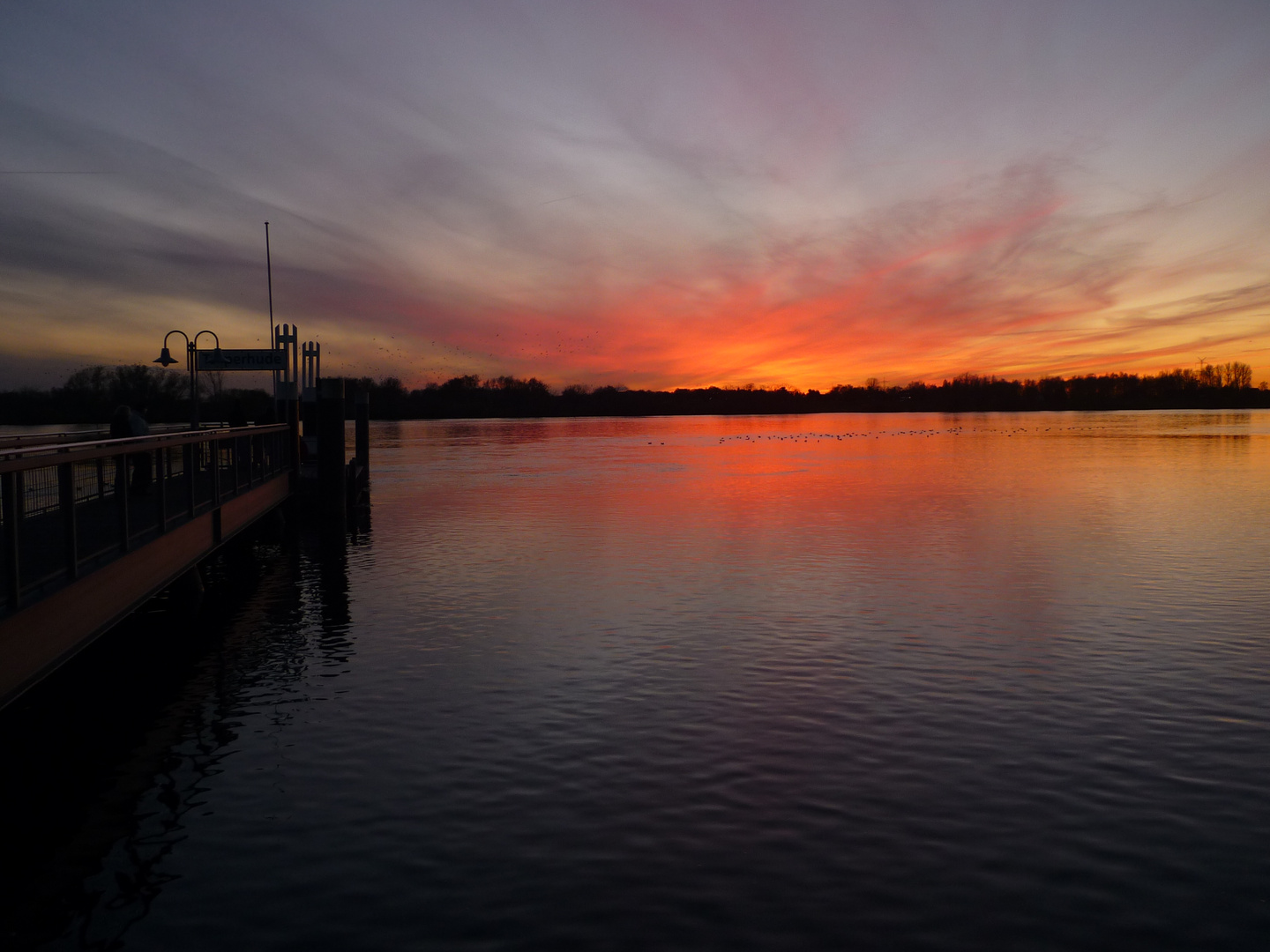 Sonnenuntergang an der Elbe I