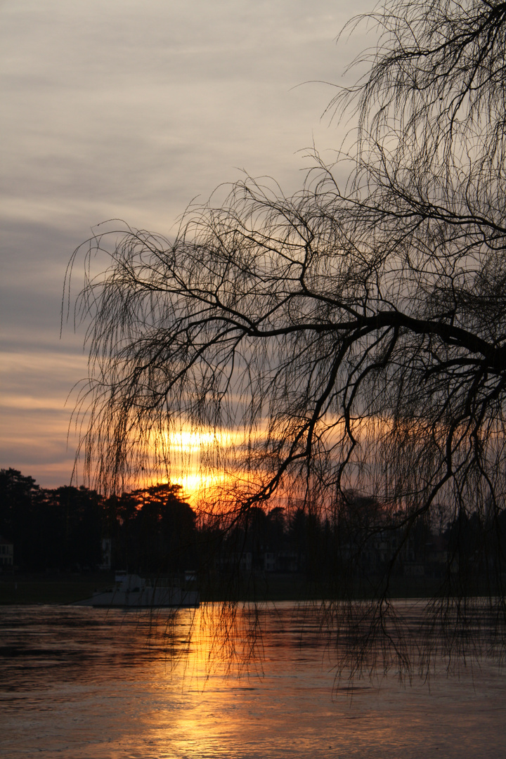 Sonnenuntergang an der Elbe in Pillnitz