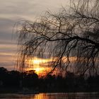 Sonnenuntergang an der Elbe in Pillnitz