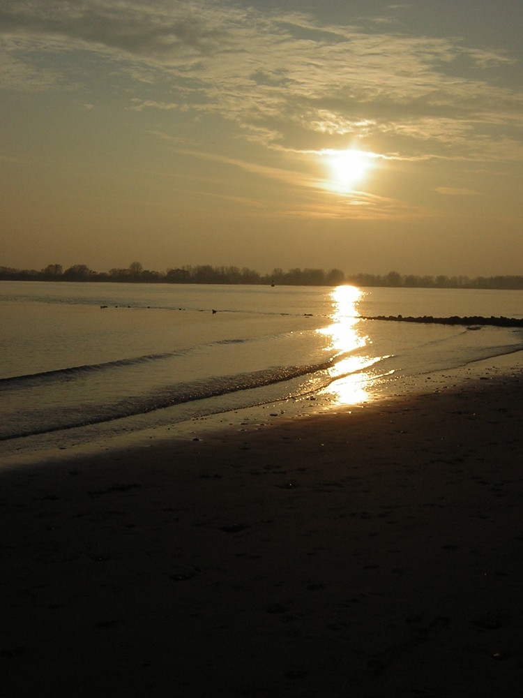 Sonnenuntergang an der Elbe in Rissen..