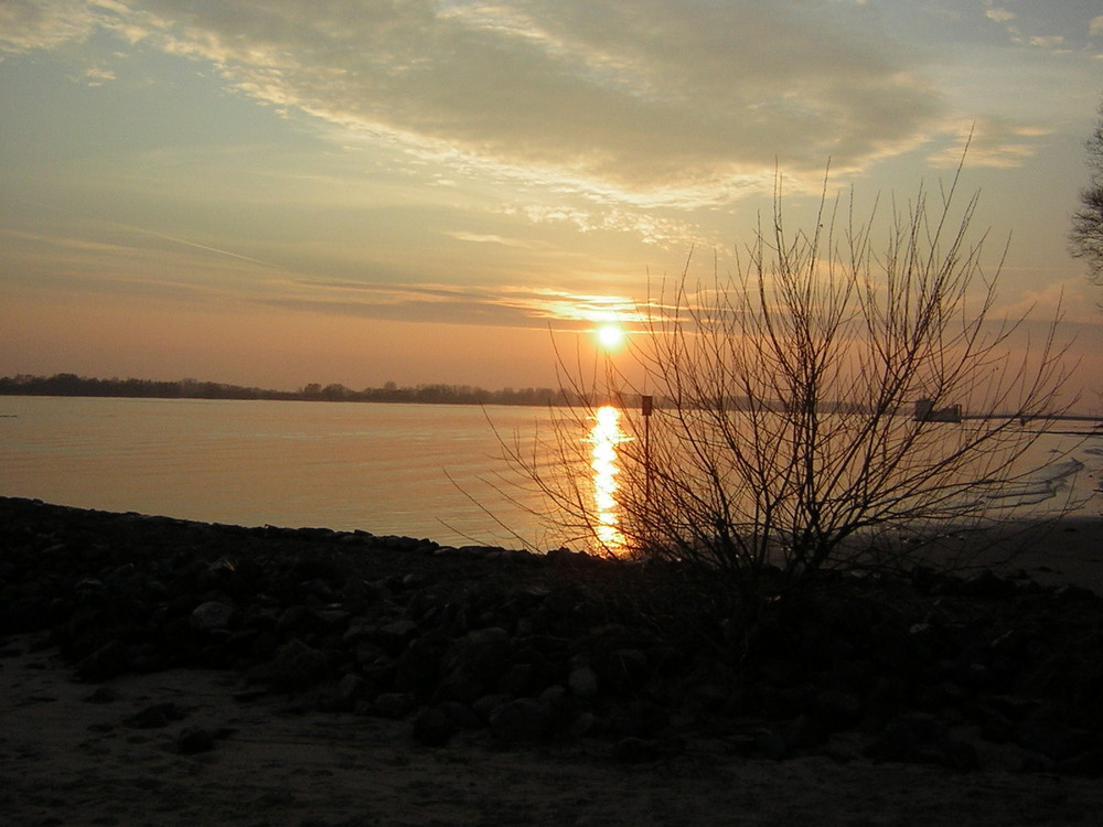 Sonnenuntergang an der Elbe in Rissen...