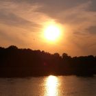 Sonnenuntergang an der Elbe nähe Dresden