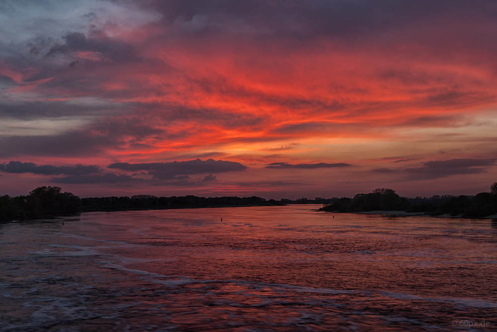 Sonnenuntergang an der Elbe XIV