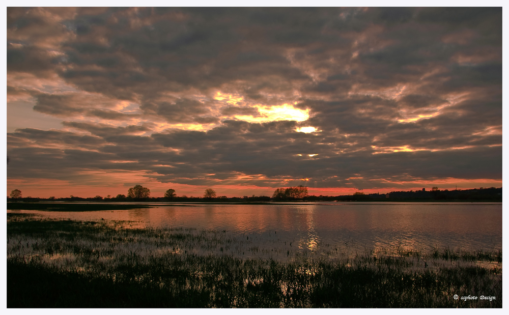 Sonnenuntergang an der Elbtalaue