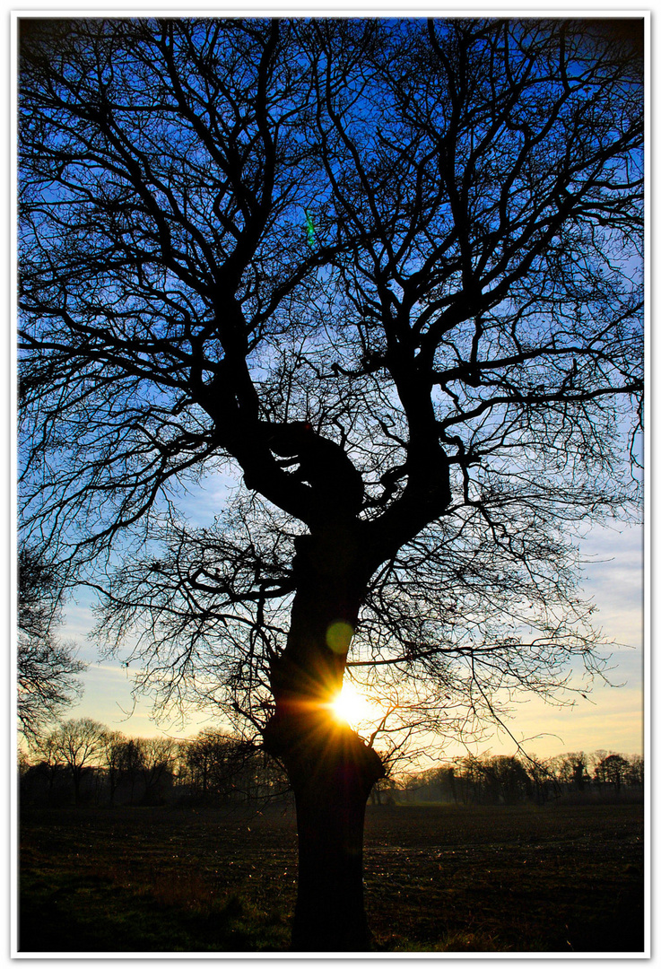 Sonnenuntergang an der Ems bei Meppen