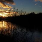 Sonnenuntergang an der Enzmündung