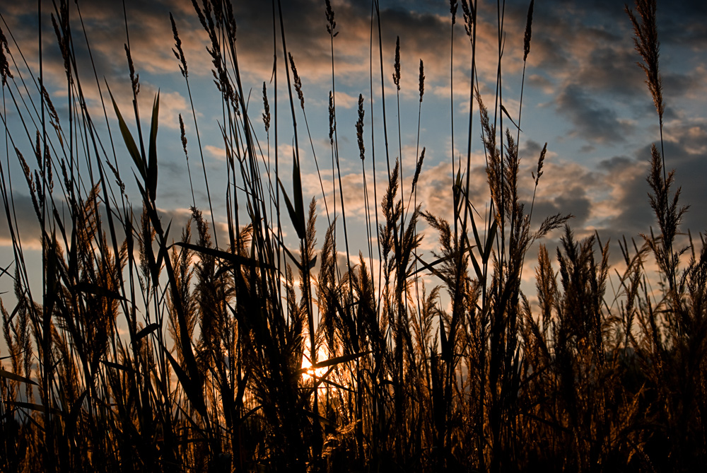 Sonnenuntergang an der Gail