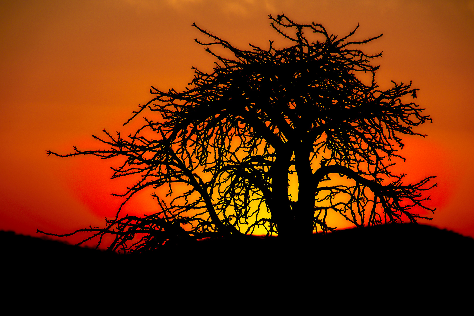 Sonnenuntergang an der Gelukspoort Lodge