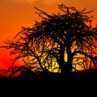 Sonnenuntergang an der Gelukspoort Lodge