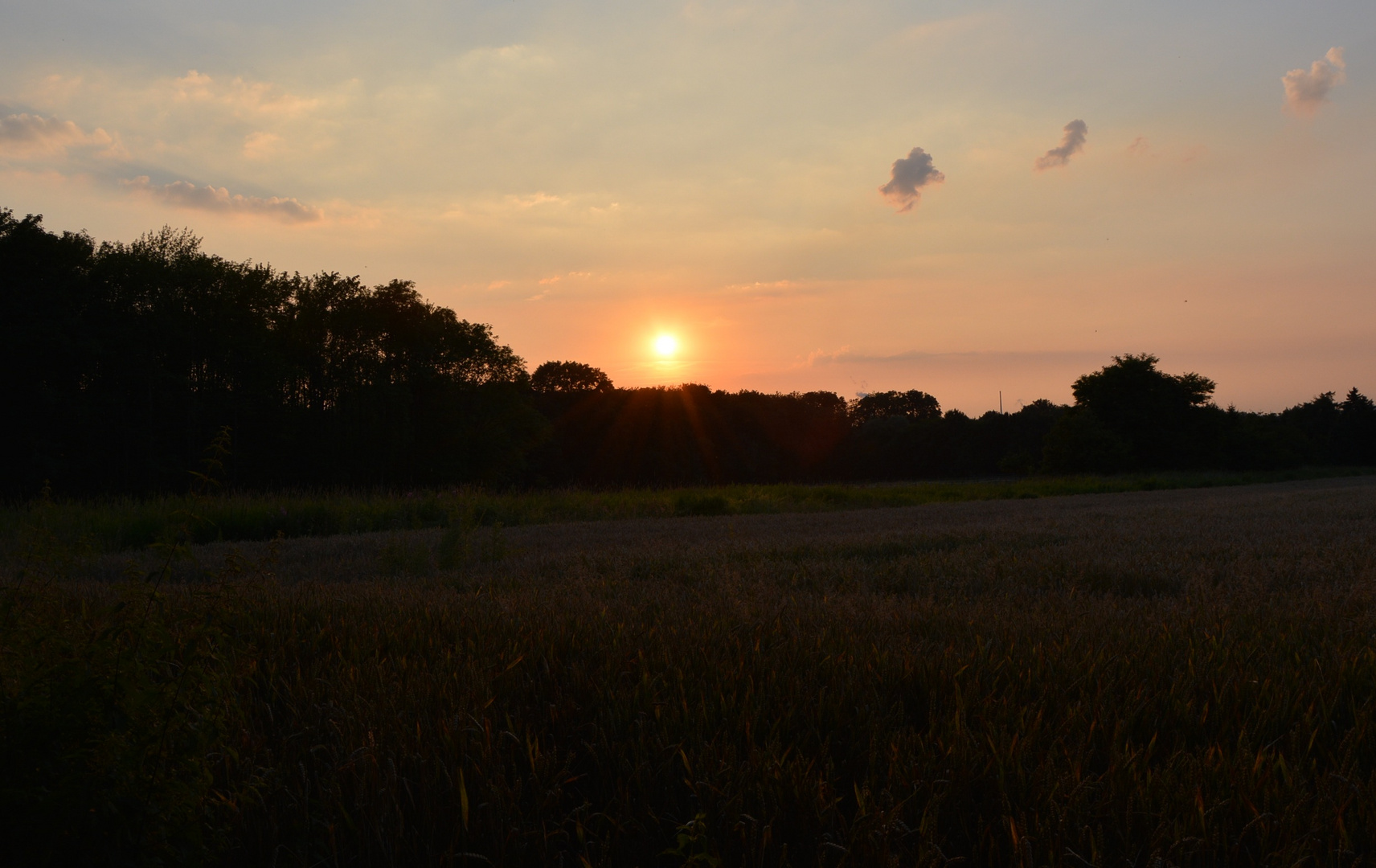 Sonnenuntergang an der Halde in Dortmund