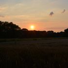 Sonnenuntergang an der Halde in Dortmund