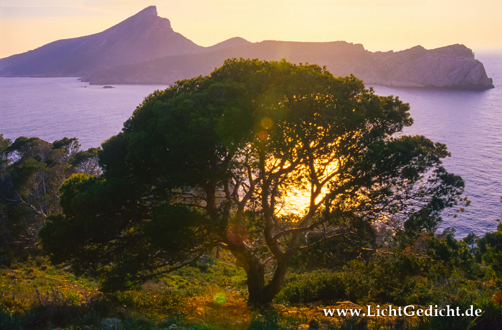 Sonnenuntergang an der Insel Dragonera, Mallorca