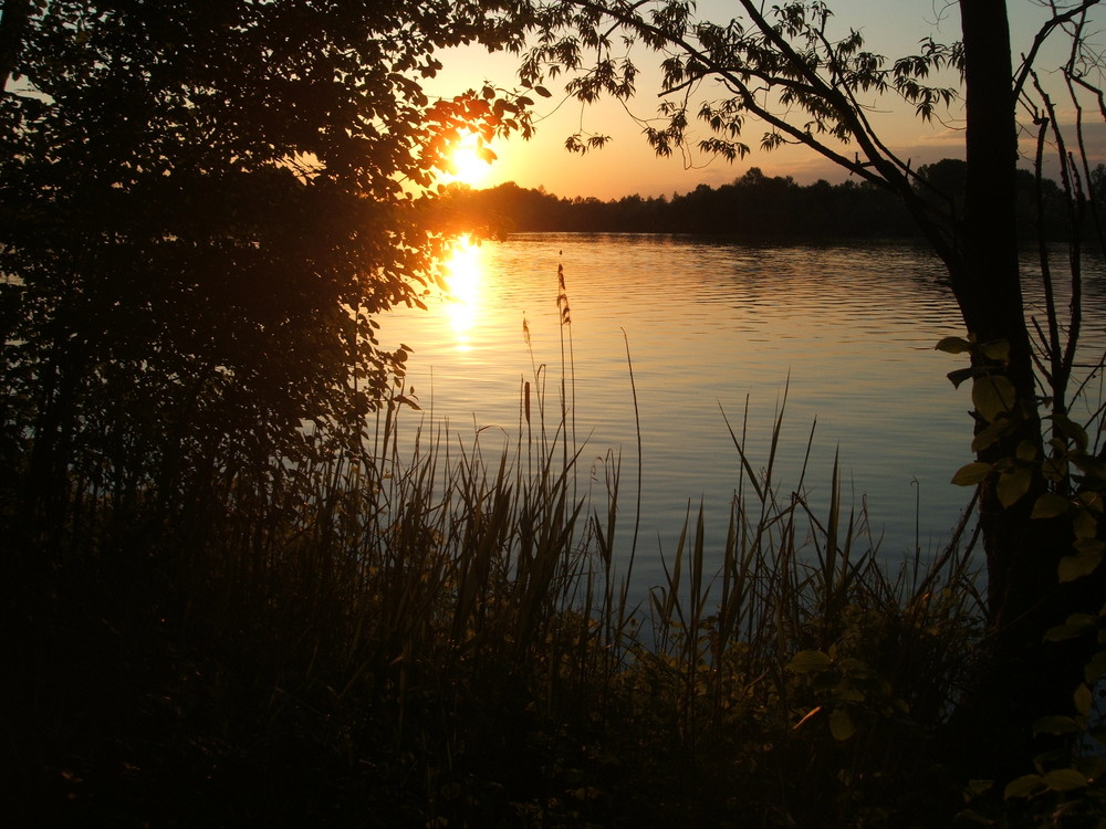 Sonnenuntergang an der Isar