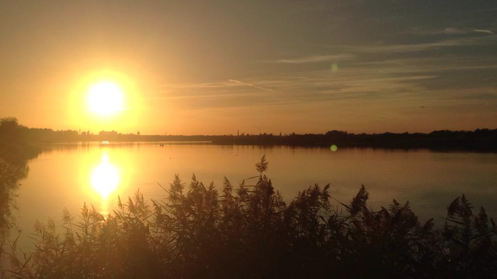 Sonnenuntergang an der Kiesgrube 