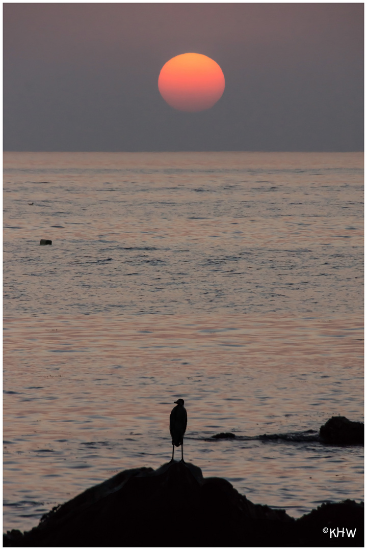 Sonnenuntergang an der Küste von Mirbat (Oman)