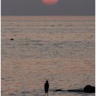 Sonnenuntergang an der Küste von Mirbat (Oman)