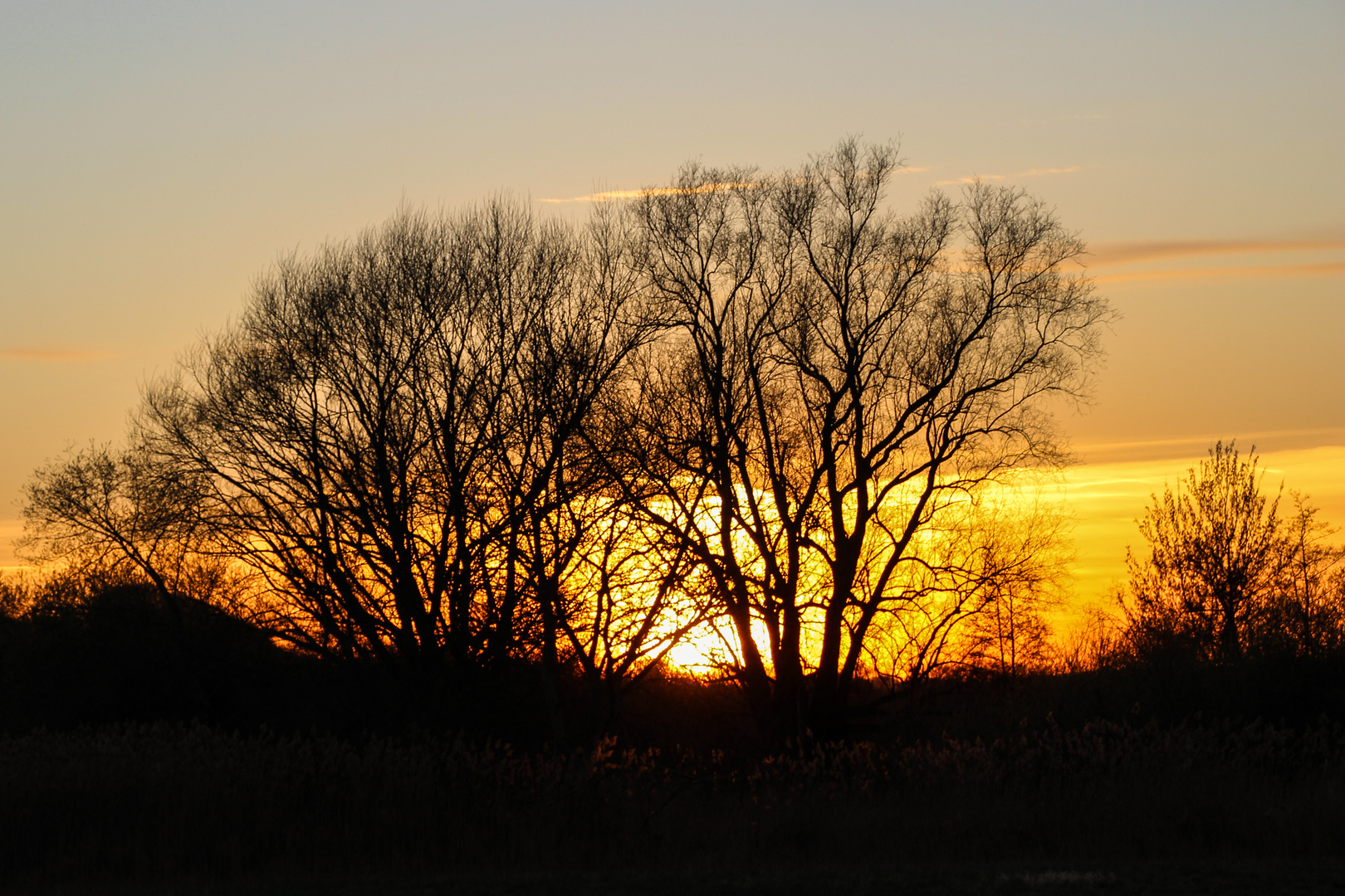 Sonnenuntergang an der Lahnaue