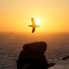 Sonnenuntergang an der Langen Anna - Helgoland