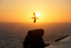 Sonnenuntergang an der Langen Anna - Helgoland