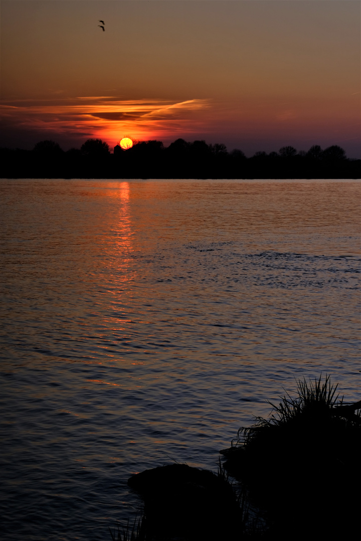 - Sonnenuntergang an der Maas -