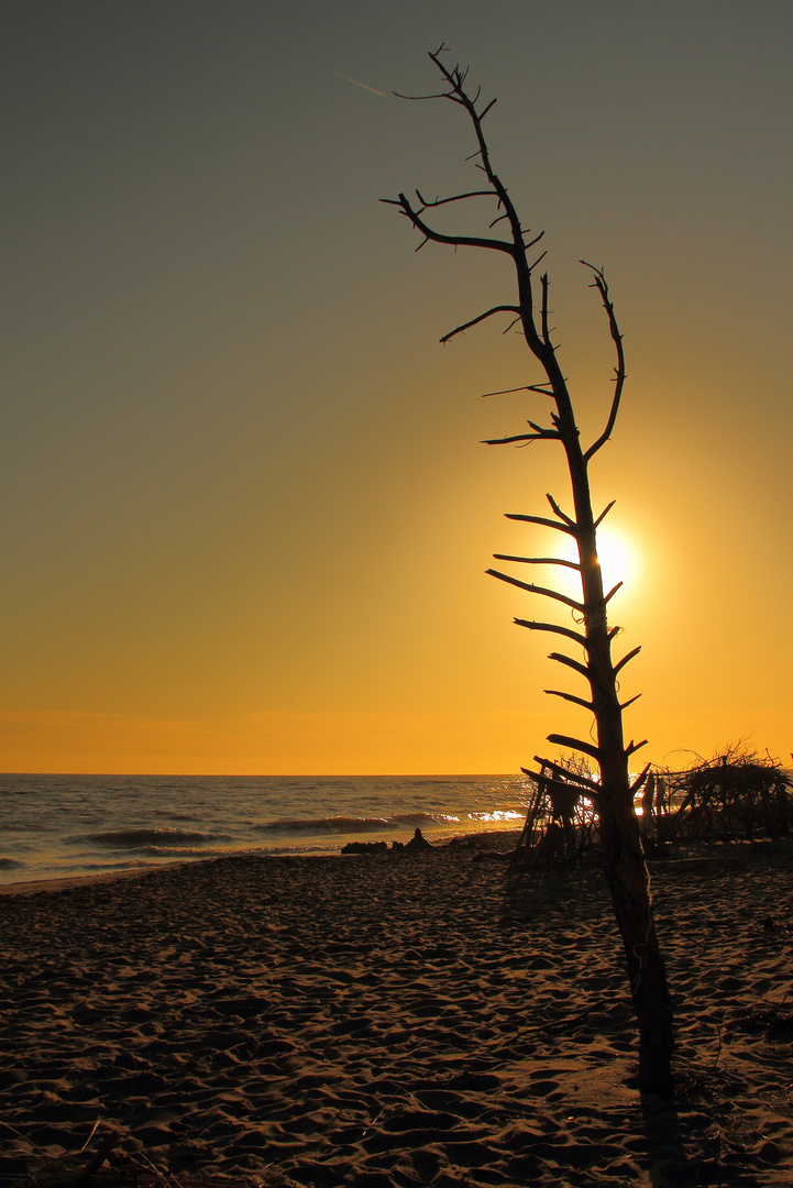 Sonnenuntergang an der Maremma Küste