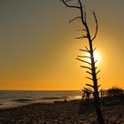 Sonnenuntergang an der Maremma Küste